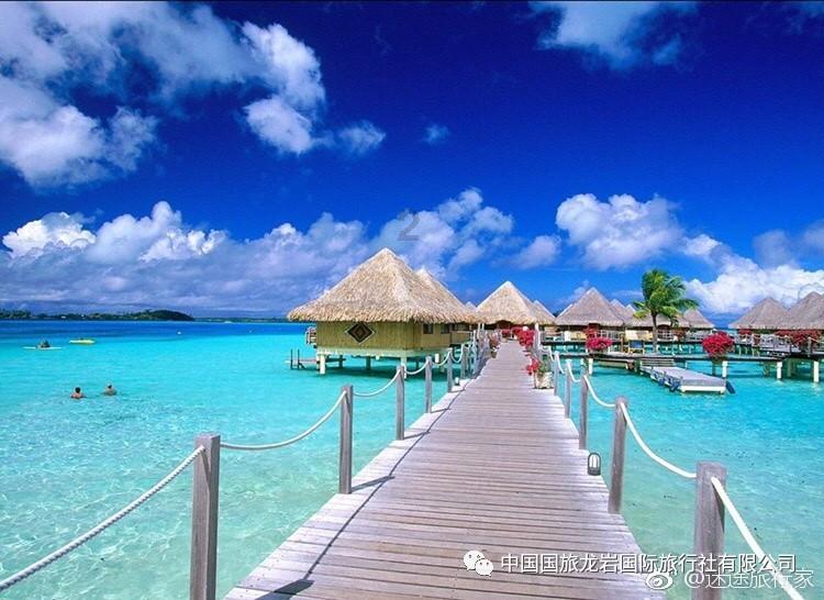 爱旅行的芭比